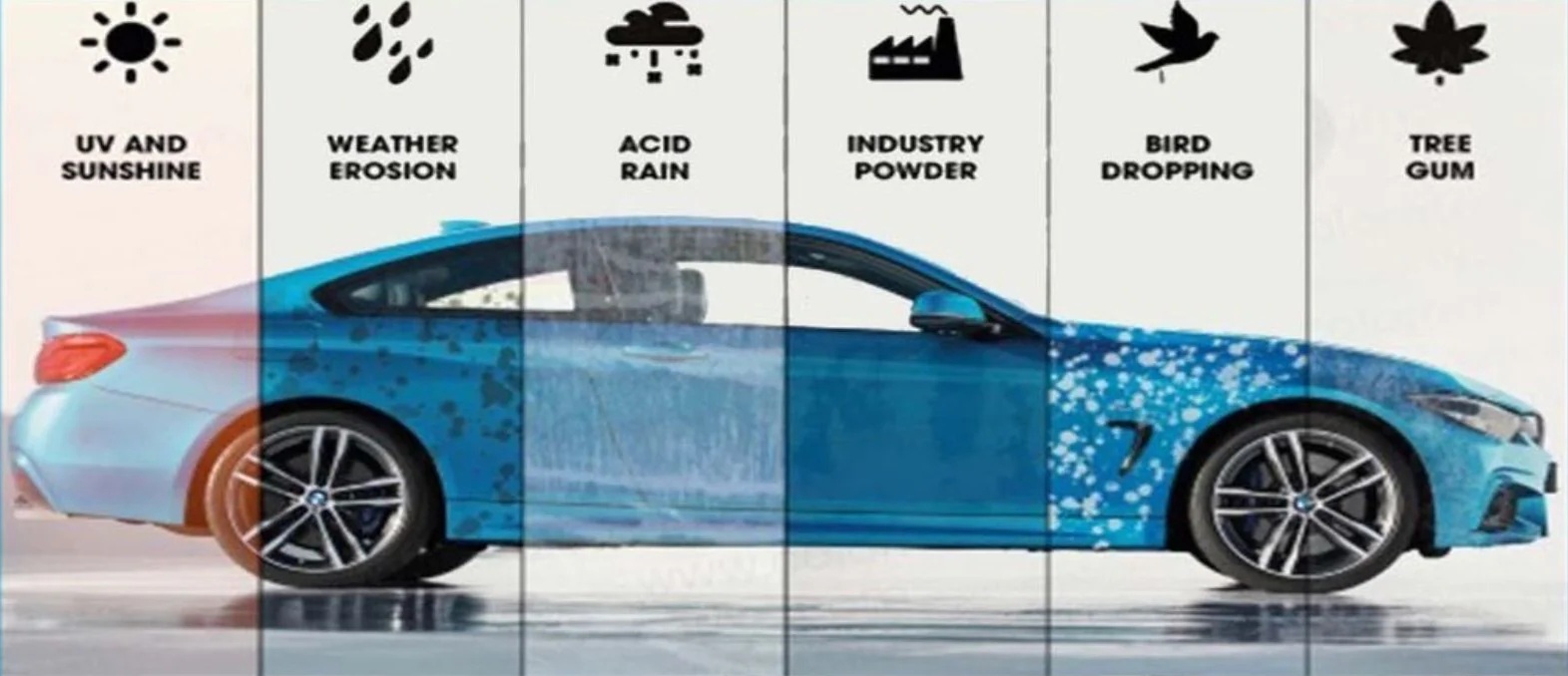 How Long Will Your Paint Protection Coating Last? Explained